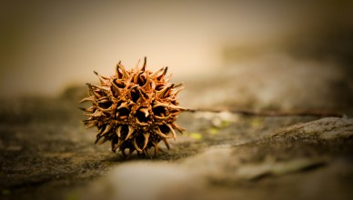 Wide Wallpaper #68 - p30download.com-004