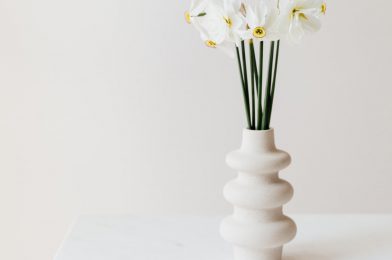 گل نرگس سفید در گلدان مدرن