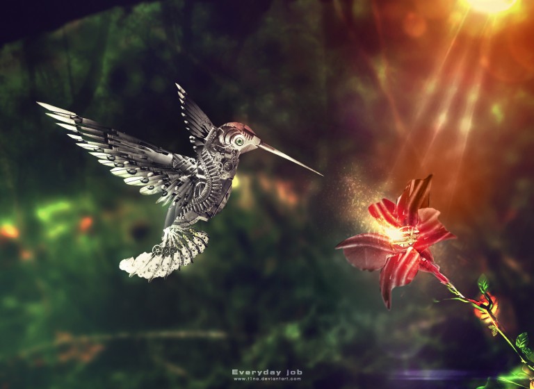 نمونه کار دو