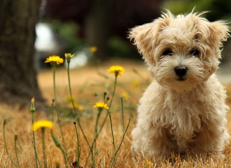 نمونه کار هشتم